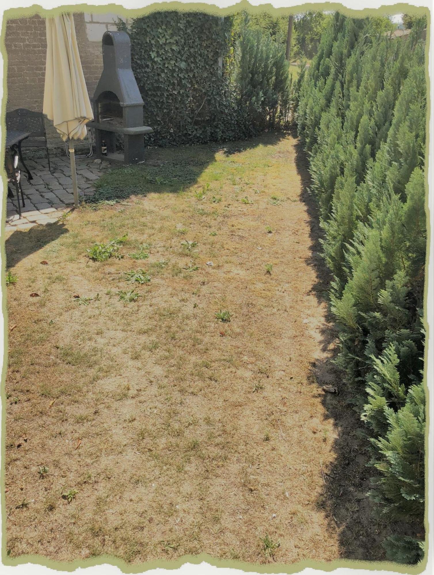 Ferienwohung Zum Bernerhof Διαμέρισμα Lindenberg  Εξωτερικό φωτογραφία